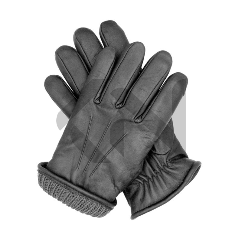 Winter Gloves